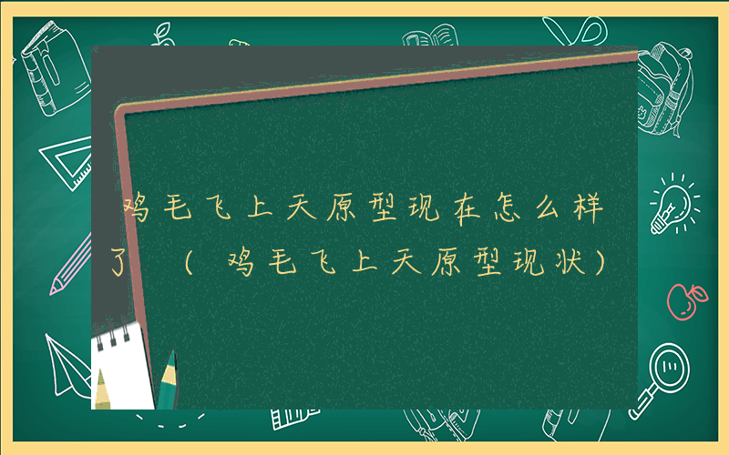 鸡毛飞上天原型现在怎么样了 (鸡毛飞上天原型现状)